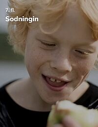 Sodningin