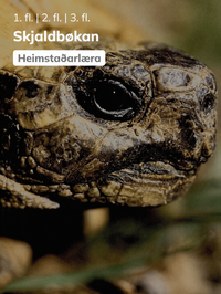 Skjaldbøkan
