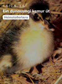 Ein dunnuungi kemur út