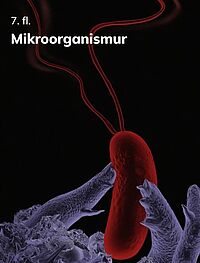 Mikroorganismur