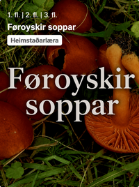Føroyskir soppar