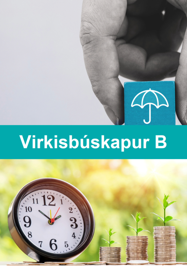Virkisbúskapur B
