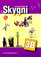 Skygni 3B - Næmingabók