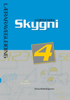 Skygni 4 - Læraravegleiðing 